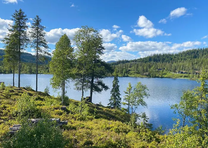 Feriehus 4 Bedroom In Vinje *