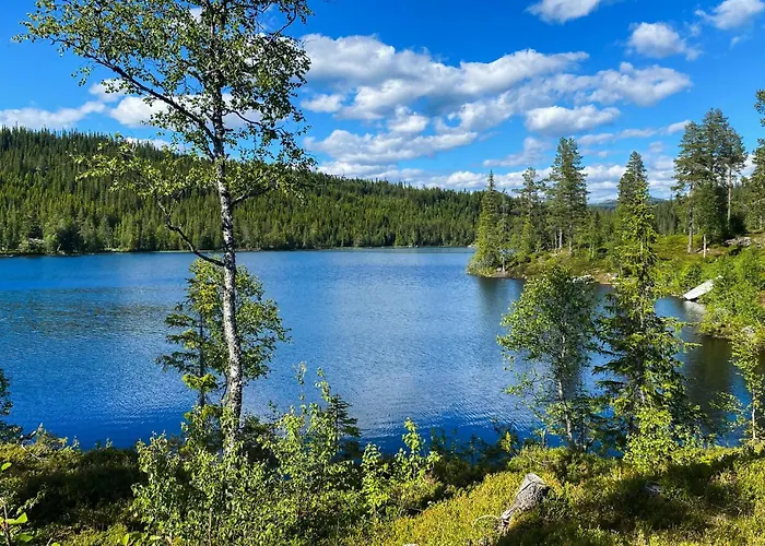 4 Bedroom In Vinje *